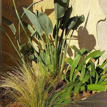 El Loft De Padrosa
